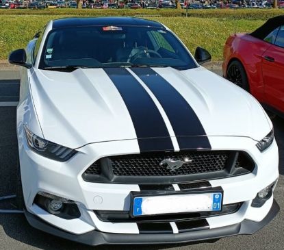 Exposition de Ford Mustang